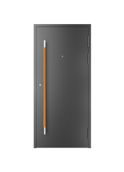 Haustür schwarz